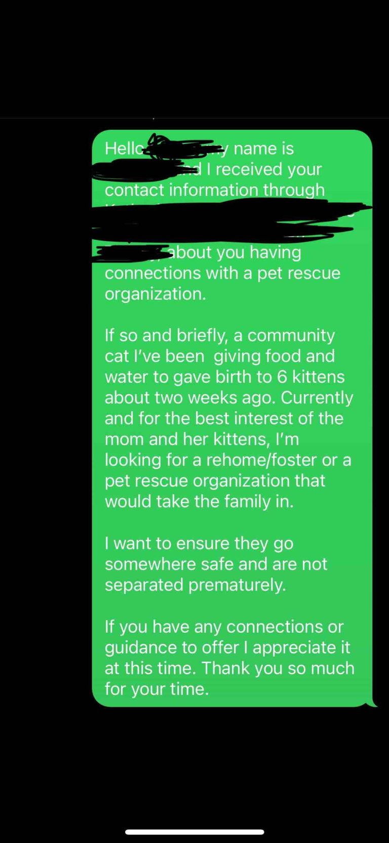 Screenshot of outreach message to a cat rescue asking for help rehoming a community cat and her six kittens
